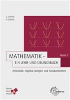Carsten Gellrich, Regin Gellrich, Regina Gellrich - Mathematik - 1: Arithmetik, Algebra, Mengen- und Funktionenlehre