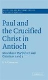 S. A. Cummins, Stephen Anthony Cummins - Paul and the Crucified Christ in Antioch