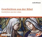 Geschichten aus der Bibel - Geschichten aus dem Leben, 1 Audio-CD (Audio book)