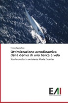 Teresa Spadafora - Ottimizzazione aerodinamica della deriva di una barca a vela