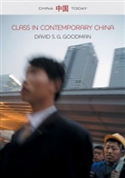 David S G Goodman, David S. G. Goodman, David S. G. (University of Sydney Goodman, DSG Goodman - Class in Contemporary China