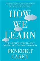 Benedict Carey, Carey Benedict - How We Learn