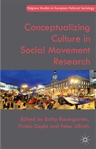 Britta Daphi Baumgarten, B. Baumgarten, Britta Baumgarten, P Daphi, P. Daphi, Priska Daphi... - Conceptualizing Culture in Social Movement Research