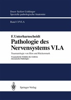 Doerr, W Doerr, W. Doerr, G Seifert, G. Seifert, Unterharnscheidt... - Spezielle pathologische Anatomie - 13 / 6 / a: Pathologie des Nervensystems VI.A, 2 Tle.