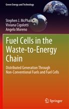 Vivian Cigolotti, Viviana Cigolotti, Stephen McPhail, Stephen J McPhail, Stephen J. McPhail, Ange Moreno... - Fuel Cells in the Waste-to-Energy Chain