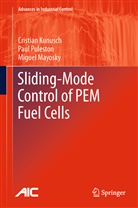 Cristia Kunusch, Cristian Kunusch, Miguel Mayosky, Pau Puleston, Paul Puleston - Sliding-Mode Control of PEM Fuel Cells