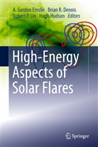 Brian R. Dennis, A. Gordon Emslie, Hugh Hudson, Robert P. Lin, Robert P Lin et al, Bria R Dennis... - High-Energy Aspects of Solar Flares