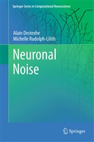 Alai Destexhe, Alain Destexhe, Michelle Rudolph-Lilith - Neuronal Noise