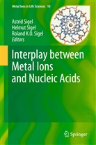 Roland KO Sigel, Astrid Sigel, Helmu Sigel, Helmut Sigel, Roland K. O. Sigel, Roland K.O. Sigel... - Interplay between Metal Ions and Nucleic Acids