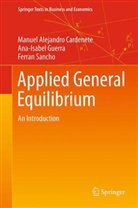 Manuel Alejandro Cardenete, Ana-Isabel Guerra, Ferran Sancho - Applied General Equilibrium