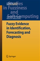 Hanna B Rakytyanska, Hanna B. Rakytyanska, Alexander Rotshtein, Alexander P Rotshtein, Alexander P. Rotshtein - Fuzzy Evidence in Identification, Forecasting and Diagnosis