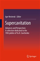 Igo Nesteruk, Igor Nesteruk - Supercavitation