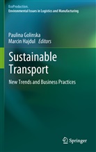 Paulin Golinska, Paulina Golinska, Hajdul, Hajdul, Marcin Hajdul - Sustainable Transport