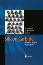 Wolfgang J. Choyke, Hiroyuk Matsunami, Hiroyuki Matsunami, Gerhard Pensl - Silicon Carbide