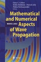 Gary Cohen, Erkk Heikkola, Erkki Heikkola, Patrick Joly, Patrick Joly et al, Pekka Neittaanmäki - Mathematical and Numerical Aspects of Wave Propagation WAVES 2003, 2 Pts.