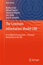 José M. González, Sebastian Rohjans, Michae Specht, Michael Specht, Jörn Trefke, Mathia Uslar... - The Common Information Model CIM