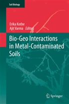 Erik Kothe, Erika Kothe, Varma, Varma, Ajit Varma - Bio-Geo Interactions in Metal-Contaminated Soils