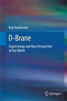 Koji Hashimoto - D-Brane