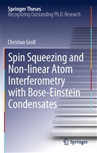 Gro¿ Christian, Christian Groß - Spin Squeezing and Non-linear Atom Interferometry with Bose-Einstein Condensates