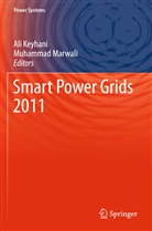 Albaijat, Albaijat, Mohammad Albaijat, Al Keyhani, Ali Keyhani, Muhammad Marwali - Smart Power Grids 2011