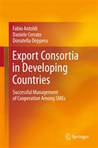 Fabi Antoldi, Fabio Antoldi, Daniel Cerrato, Daniele Cerrato, Donatella Depperu - Export Consortia in Developing Countries