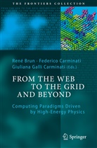 René Brun, Federic Carminati, Federico Carminati, Frederico Carminati, Giuliana Galli Carminati, Giuliana Galli-Carminati - From the Web to the Grid and Beyond
