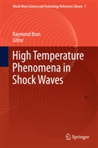 Raymon Brun, Raymond Brun - High Temperature Phenomena in Shock Waves