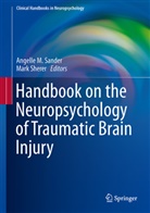 M Sander, M Sander, Angelle M. Sander, Mar Sherer, Mark Sherer - Handbook on the Neuropsychology of Traumatic Brain Injury