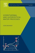 Gerd Brunner, Brunner Gerd - Hydrothermal and Supercritical Water Processes