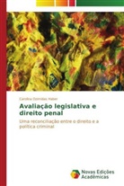 Carolina Dzimidas Haber - Avaliação legislativa e direito penal
