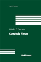 Gabriel Paternain, Gabriel P Paternain, Gabriel P. Paternain - Geodesic Flows