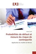 Imane Loutfi, Loutfi-I - Probabilites de defaut et mesure