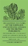 Nathaniel L Britton, Nathaniel Lord Britton, William Gibson - An Illustrated Flora of the Northern Uni
