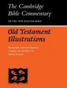 Clifford M. Jones, P. R. Ackroyd, A. R. C. Leaney - Old Testament Illustrations