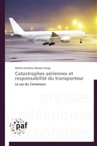 Arlette Christine Afouba Tanga, Tanga-a - Catastrophes aeriennes et