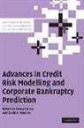 Stewart Jones, Stewart (University of Sydney) Hensher Jones, Stewart Hensher Jones, David A. Hensher, David A. (University of Sydney) Hensher, Stewart Jones... - Advances in Credit Risk Modelling and Corporate Bankruptcy Prediction