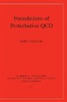 John Collins, John (Pennsylvania State University) Collins, John C. Collins - Foundations of Perturbative Qcd