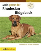 Ann Chamberlain - Mein gesunder Rhodesian Ridgeback