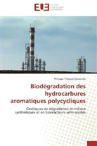 Philippe Thibaud Demarche, Demarche-P - Biodegradation des hydrocarbures