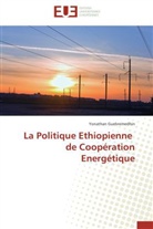 Yonathan Guebremedhin, Guebremedhin-Y - La politique ethiopienne de