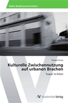 Theresa Fincke - Kulturelle Zwischennutzung auf urbanen Brachen