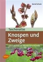 Bernd Schulz - Taschenatlas Knospen und Zweige