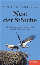 Gottfried Zurbrügg - Nest der Störche