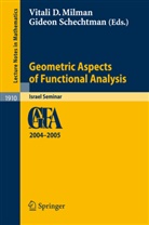 Vitali D Milman, Vitali D. Milman, Schechtman, Gideon Schechtman - Geometric Aspects of Functional Analysis
