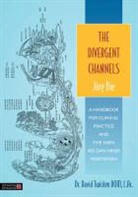 David Twicken, Lac Twicken Dom, Dr David Twicken Dom Lac - The Divergent Channels - Jing Bie