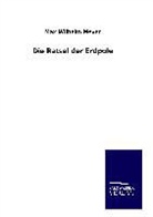 Max Wilhelm Meyer - Die Rätsel der Erdpole