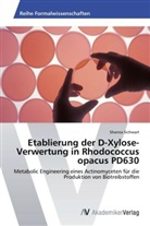 Shanna Sichwart - Etablierung der D-Xylose-Verwertung in Rhodococcus opacus PD630
