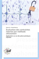 Gérard Bourse, Dawe Jia, Dawei Jia - Evaluation des contraintes