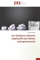 Raphaël Guillou, Guillou-R - Les facteurs internes explicatifs