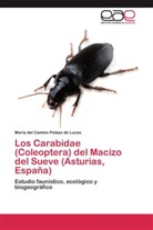 María del Camino Peláez de Lucas - Los Carabidae (Coleoptera) del Macizo del Sueve (Asturias, España)